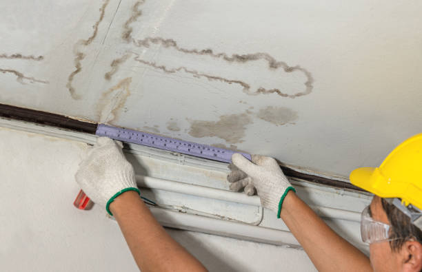 Reliable Mold Remediation contractor in North Bridgton, ME by Water Damage Irwin